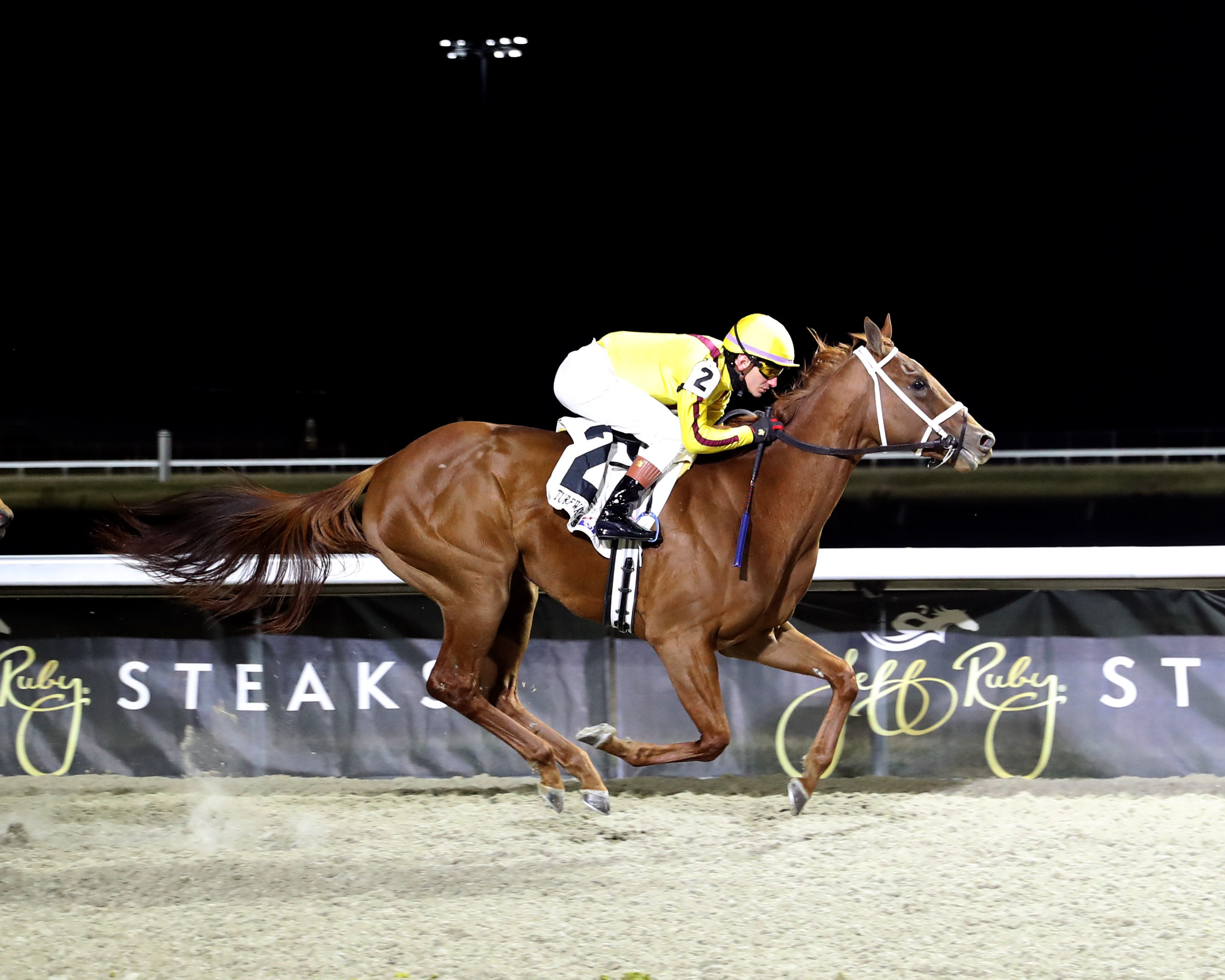 Cadenza winning an allowance optional claimer at Turfway Park