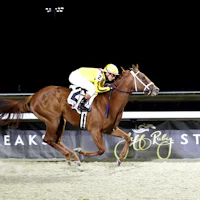Cadenza winning an allowance optional claimer at Turfway Park