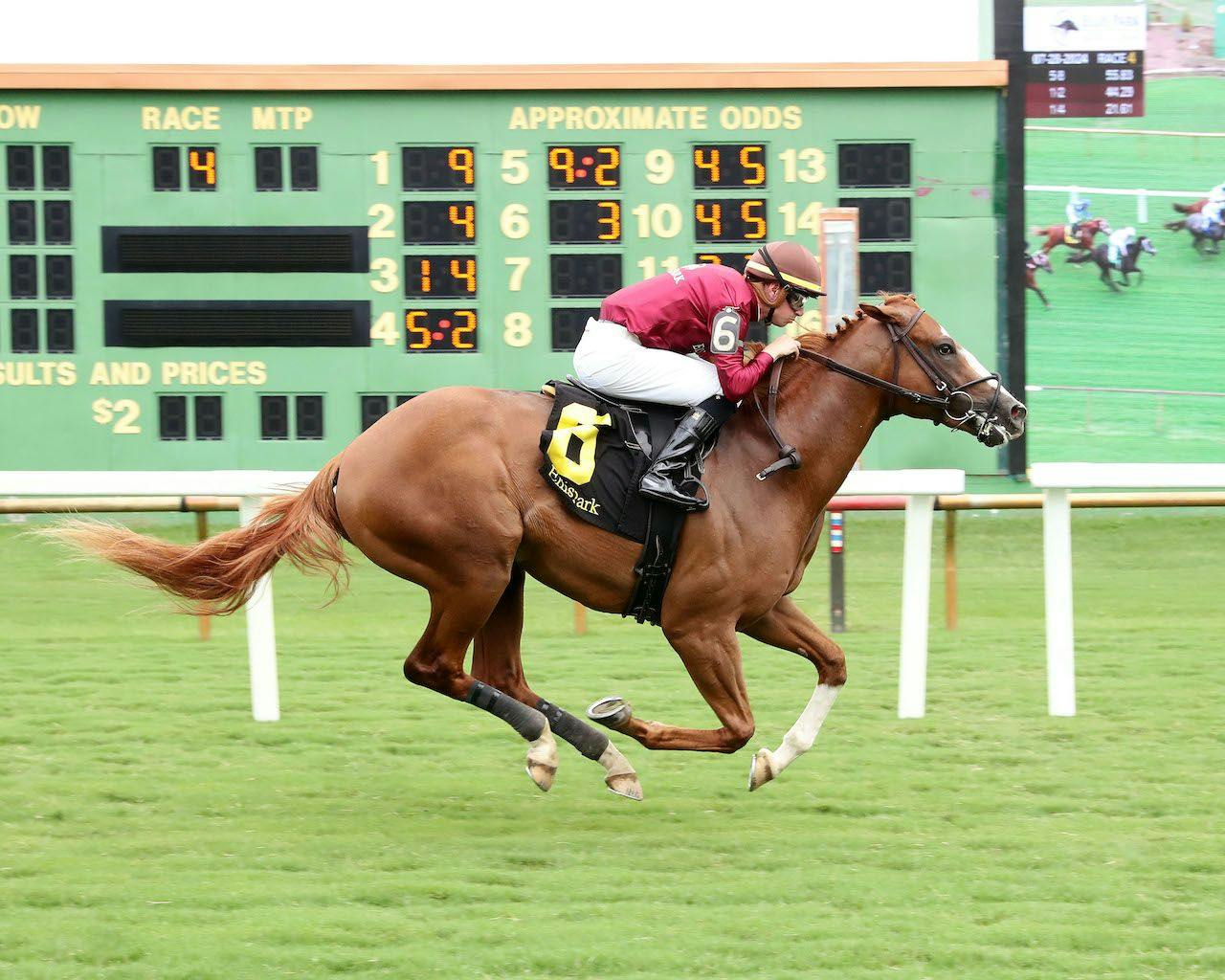 Chasing Liberty wins at Ellis Park. 