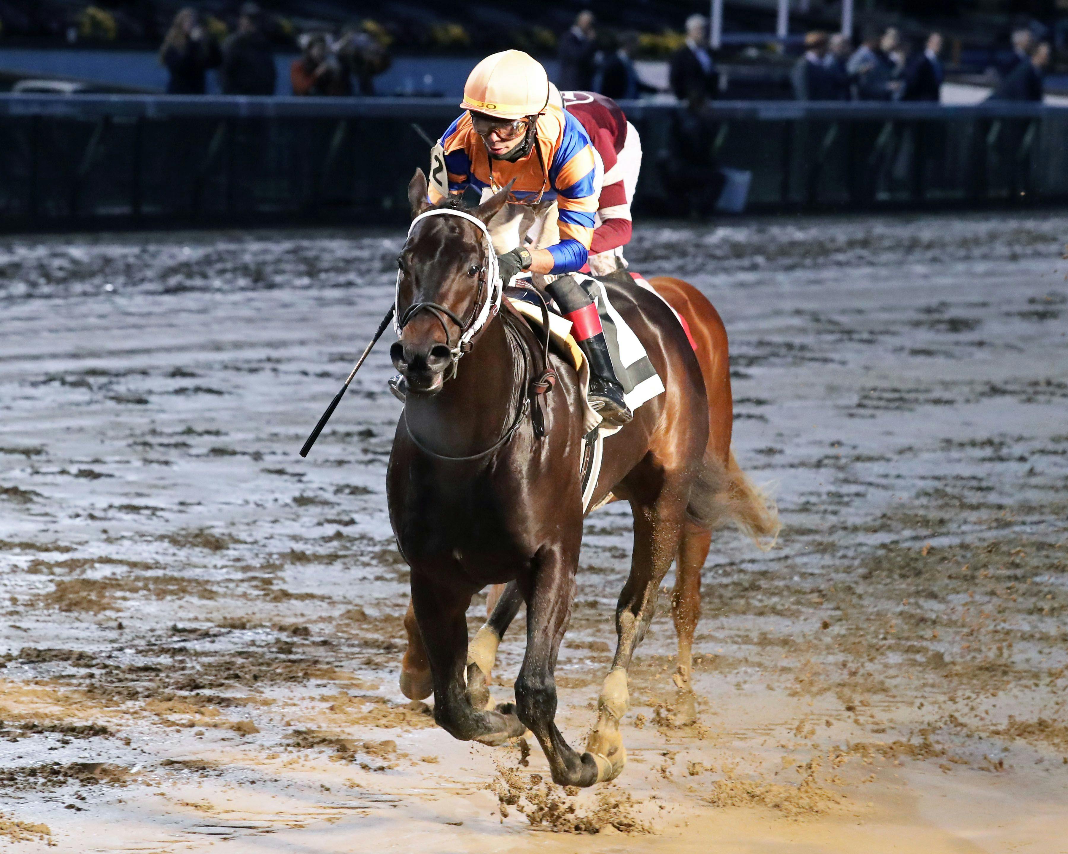 Chip Honcho wins at Churchill Downs. 