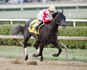 Chunk of Gold wins the West Virginia Derby at Moutaineer. 