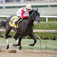 Chunk of Gold wins the West Virginia Derby at Moutaineer.