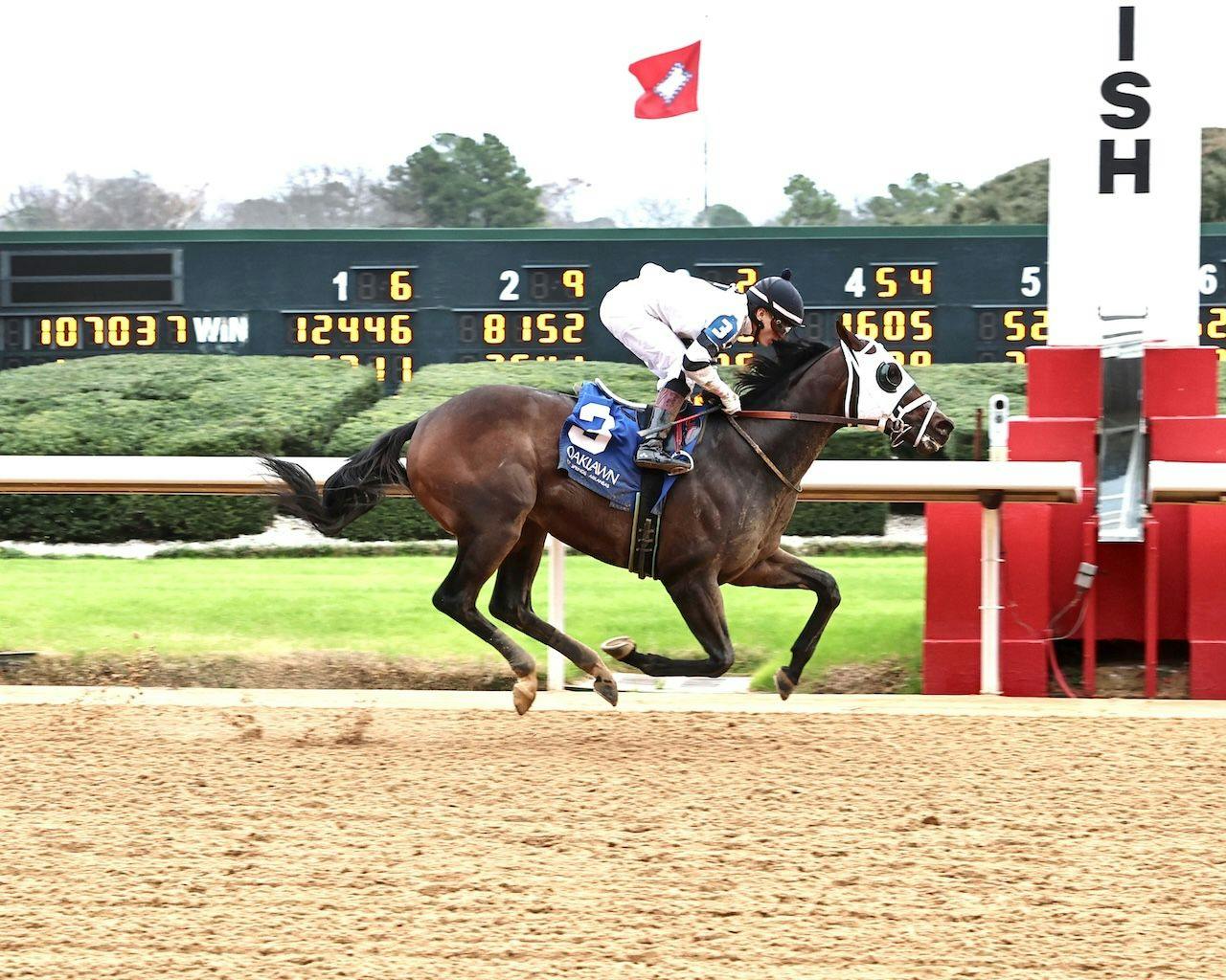 Circle Tap wins at Oaklawn Park. 