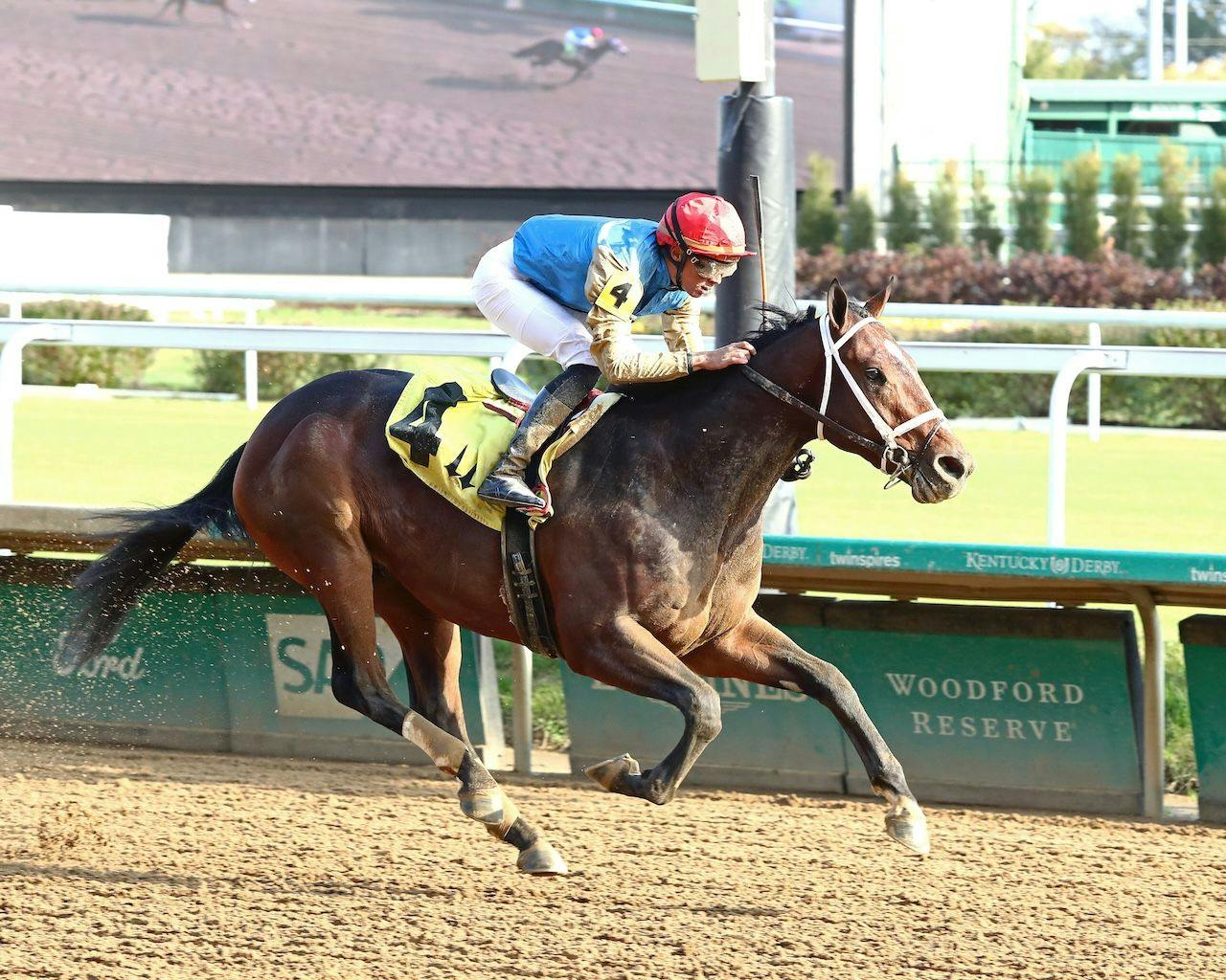 Commandment wins at Churchill Downs.