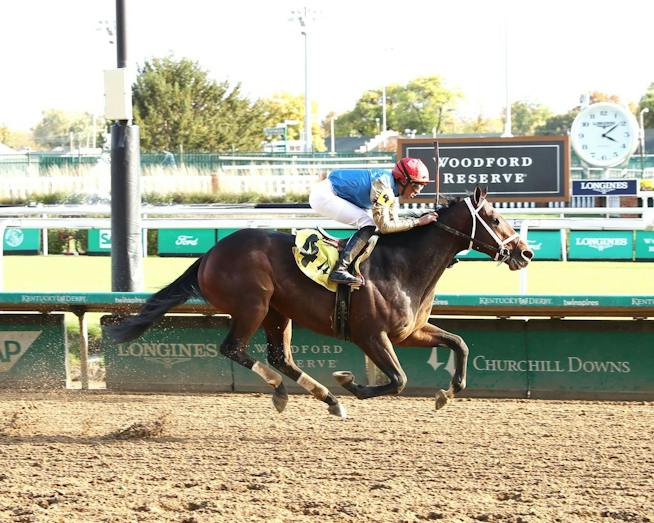 Commandment - Horse Profiles: Pedigree, Stats, Results & Past ...