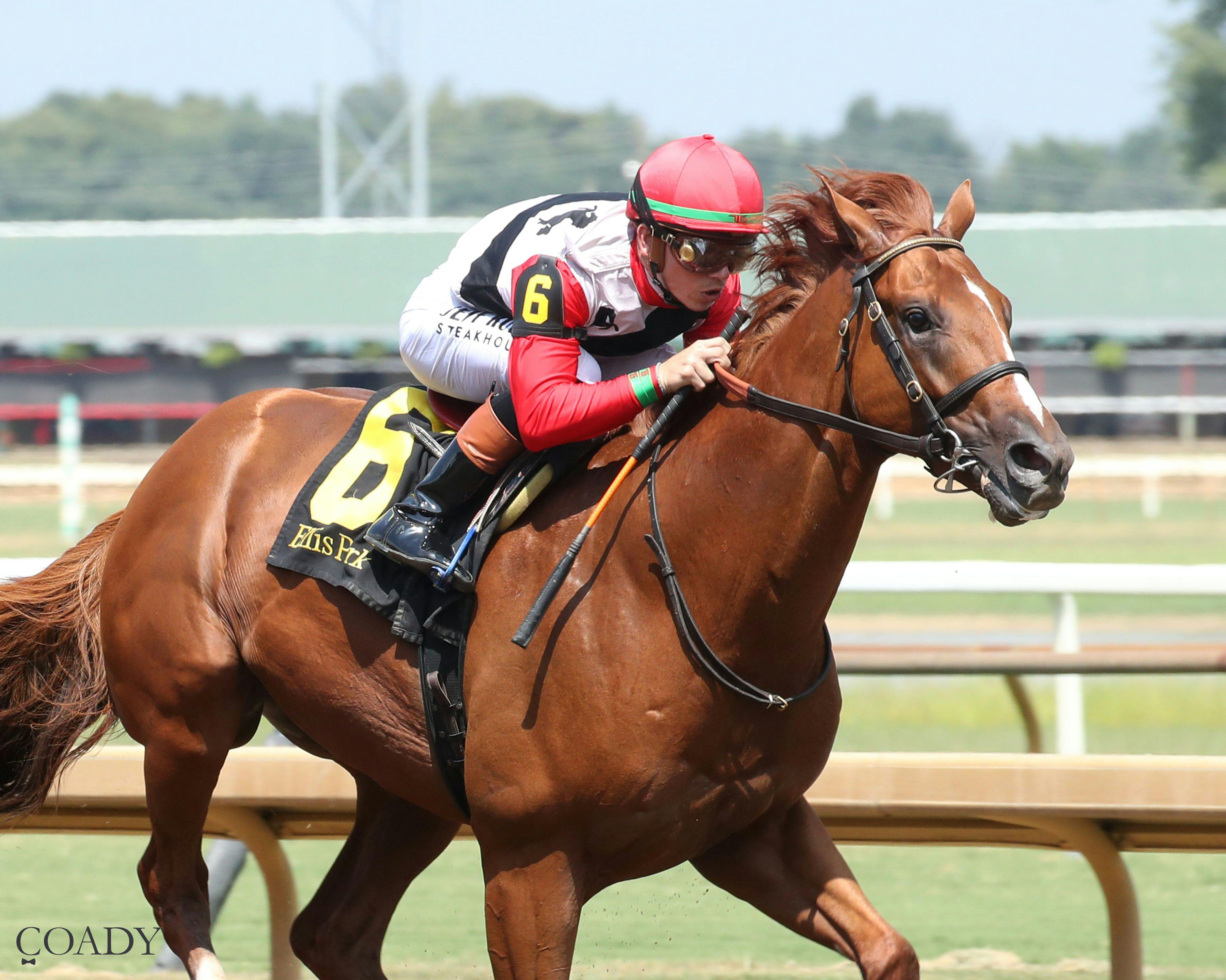 Comport wins the Ellis Park Juvenile at Ellis Park.