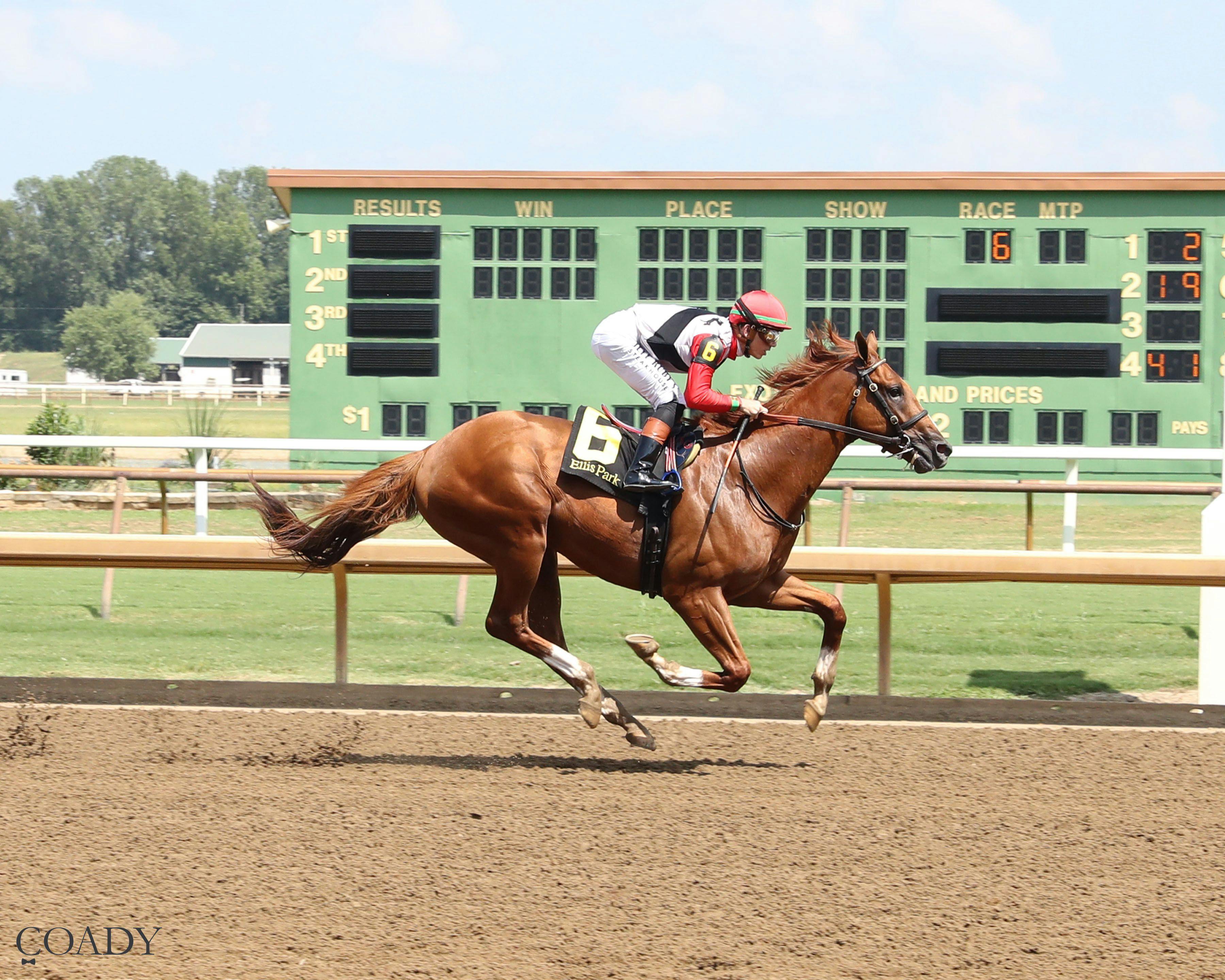 Comport wins the Ellis Park Juvenile at Ellis Park.