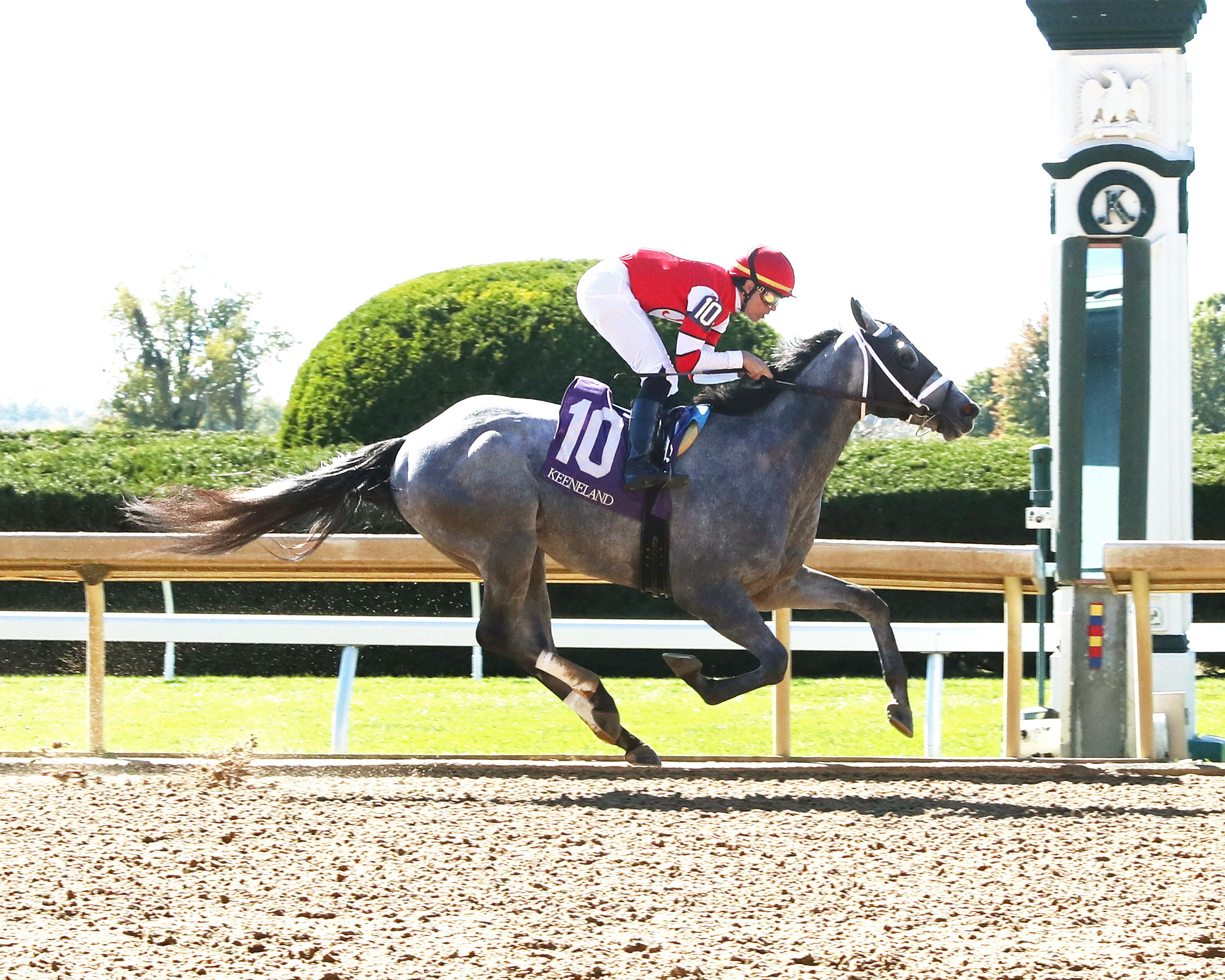 Confessional wins at Keeneland (Photo by Coady Media)