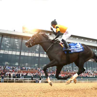 Counting Stars wins the Fantasy Stakes at Oaklawn.