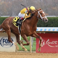 Courting breaking his maiden at Aqueduct