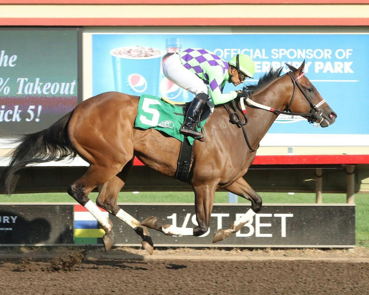 Cupid's Crush wins the Frances Genter Stakes at Caterbury Park. 