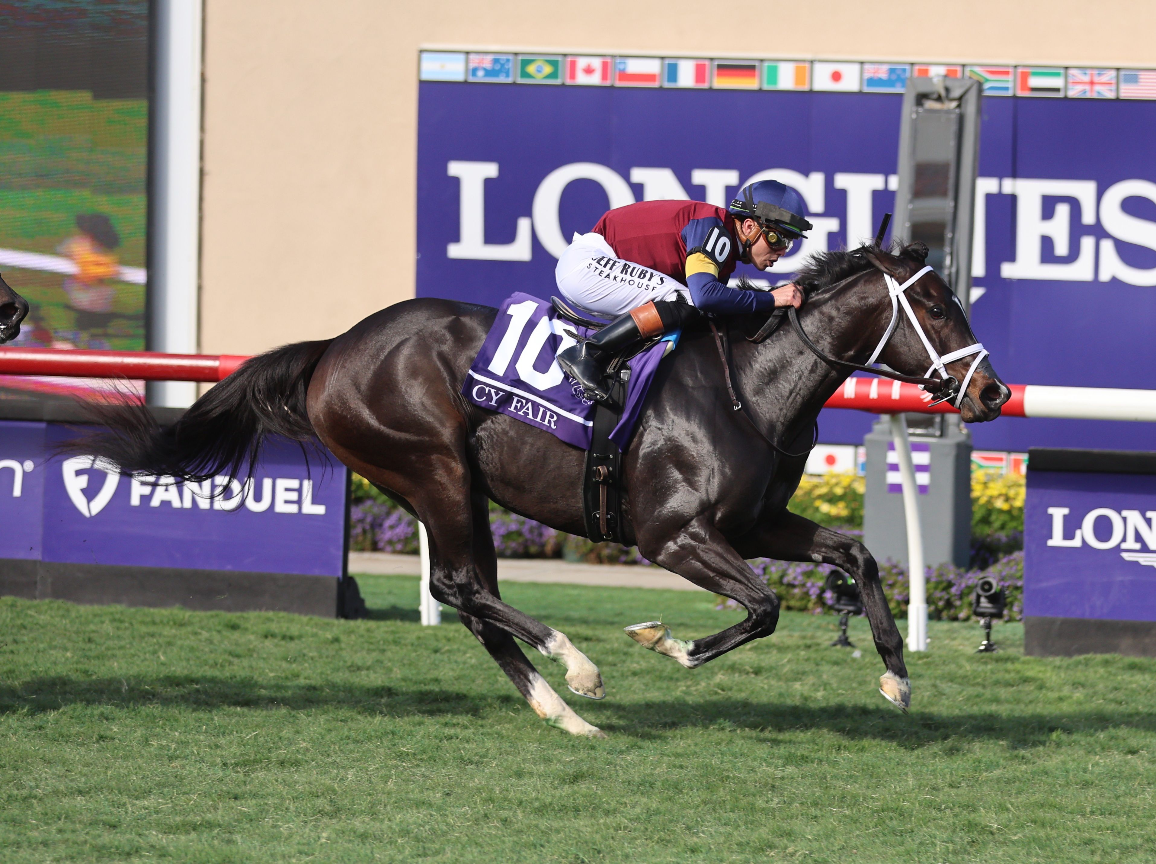 Cy Fair winning the Breeders' Cup Juvenile Turf Sprint (G1) at Del Mar