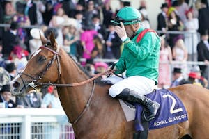 Calandagan shown after winning the 2024 King Edward VII at Royal Ascot