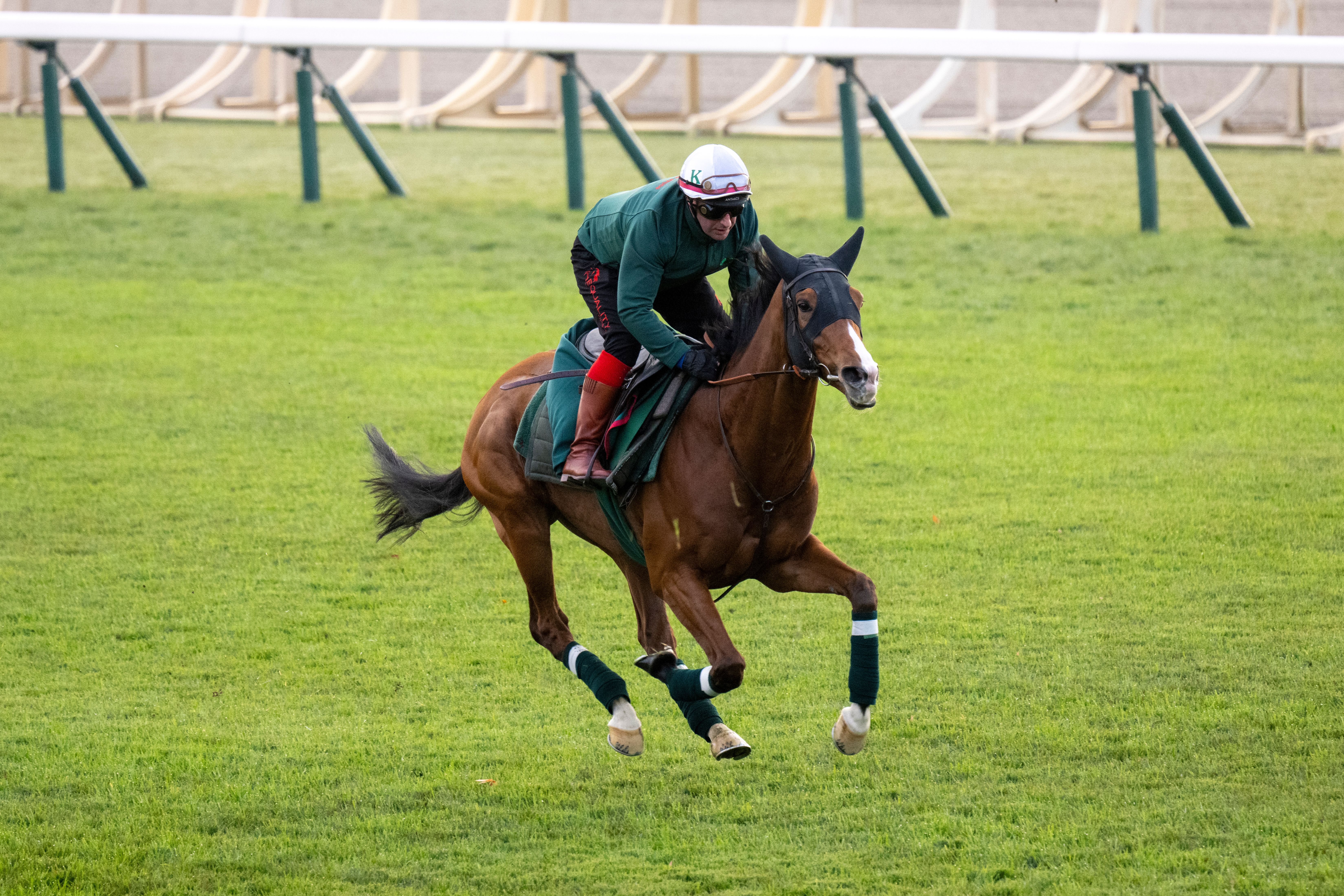 Calandagan trains for the 2025 Japan Cup (G1)