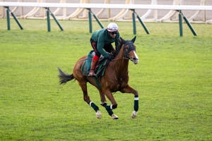 Calandagan trains for the 2025 Japan Cup (G1)