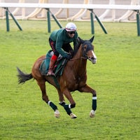 Calandagan trains for the 2025 Japan Cup (G1)