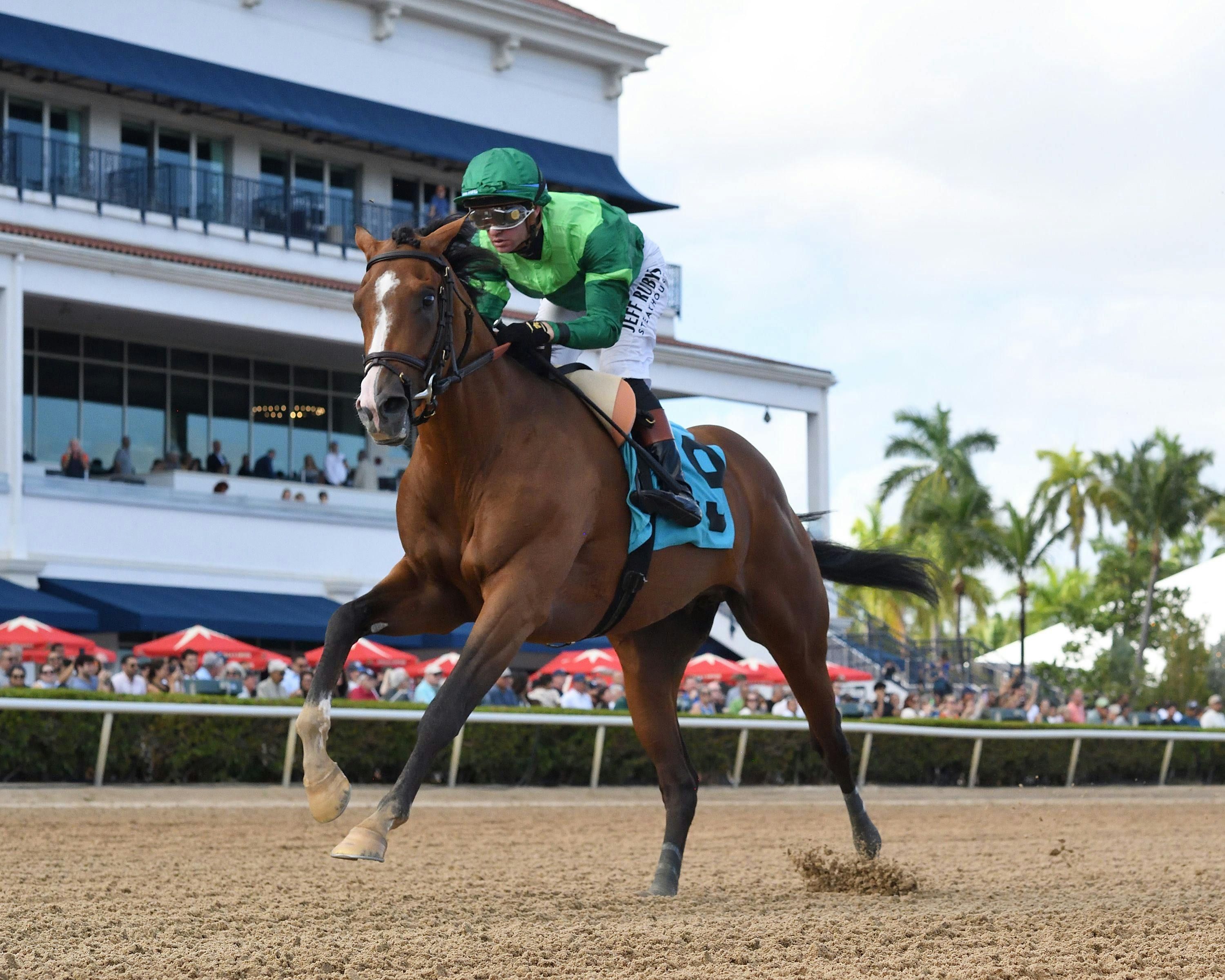 Canaletto winning his debut at Gulfstream Park