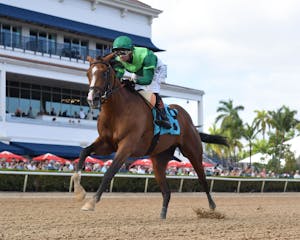 Canaletto winning his debut at Gulfstream Park