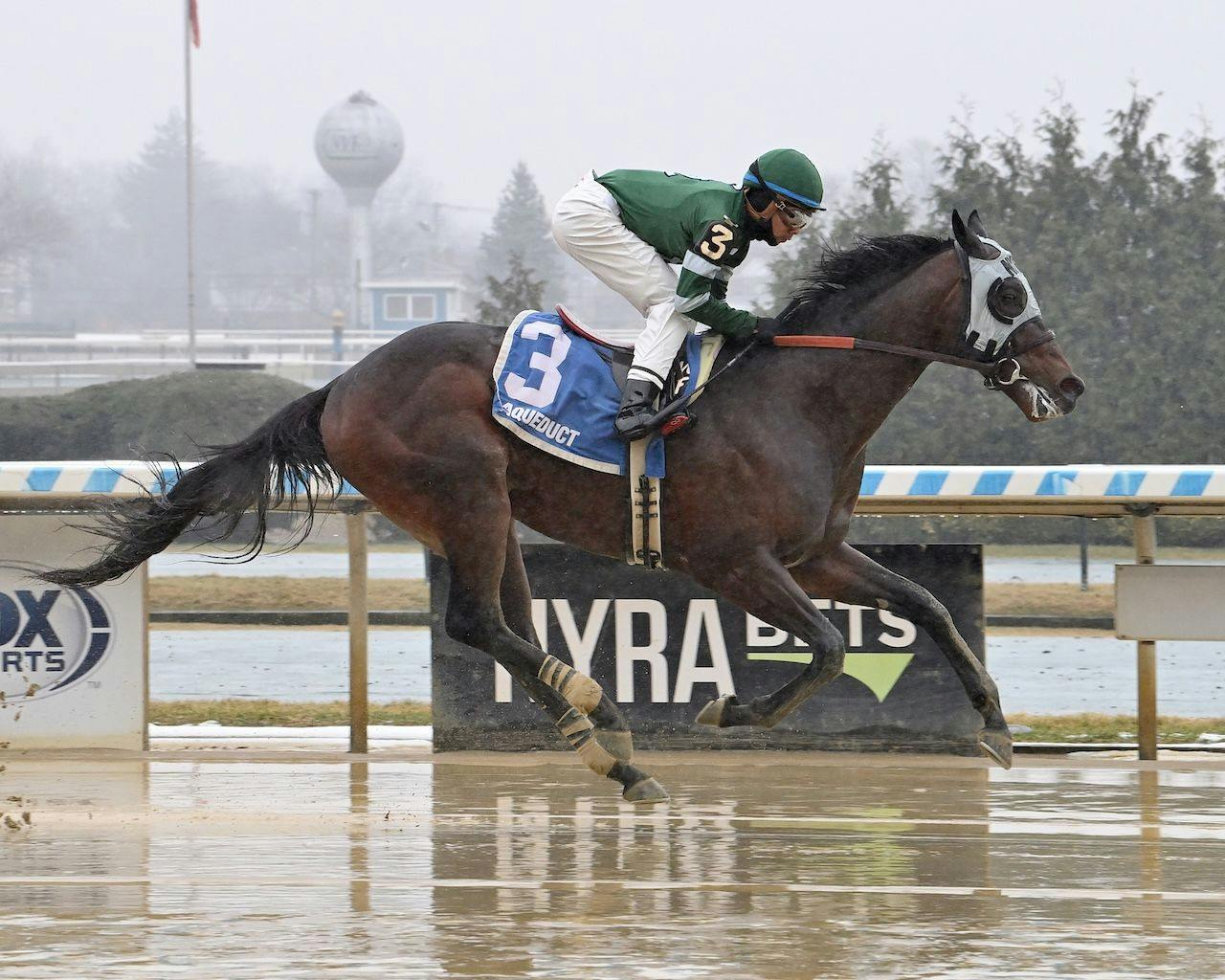 Captain Cook wins at Aqueduct. (Photo by Coglianese Photo)