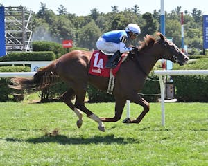 Caroline St Beat breaks her maiden at Saratgoa.