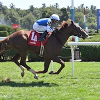 Caroline St Beat breaks her maiden at Saratgoa.