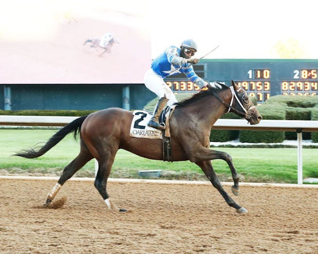 2024 Preakness Stakes Meet the Contenders TwinSpires