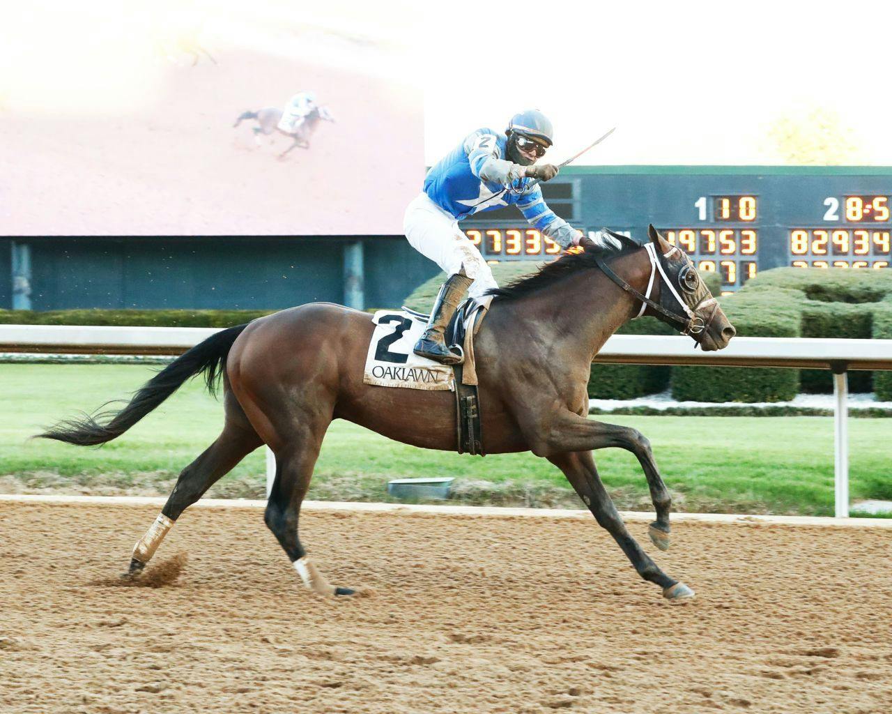 Catching Freedom winning the Smarty Jones S. at Oaklawn Park. (Photo by Coady Photography)