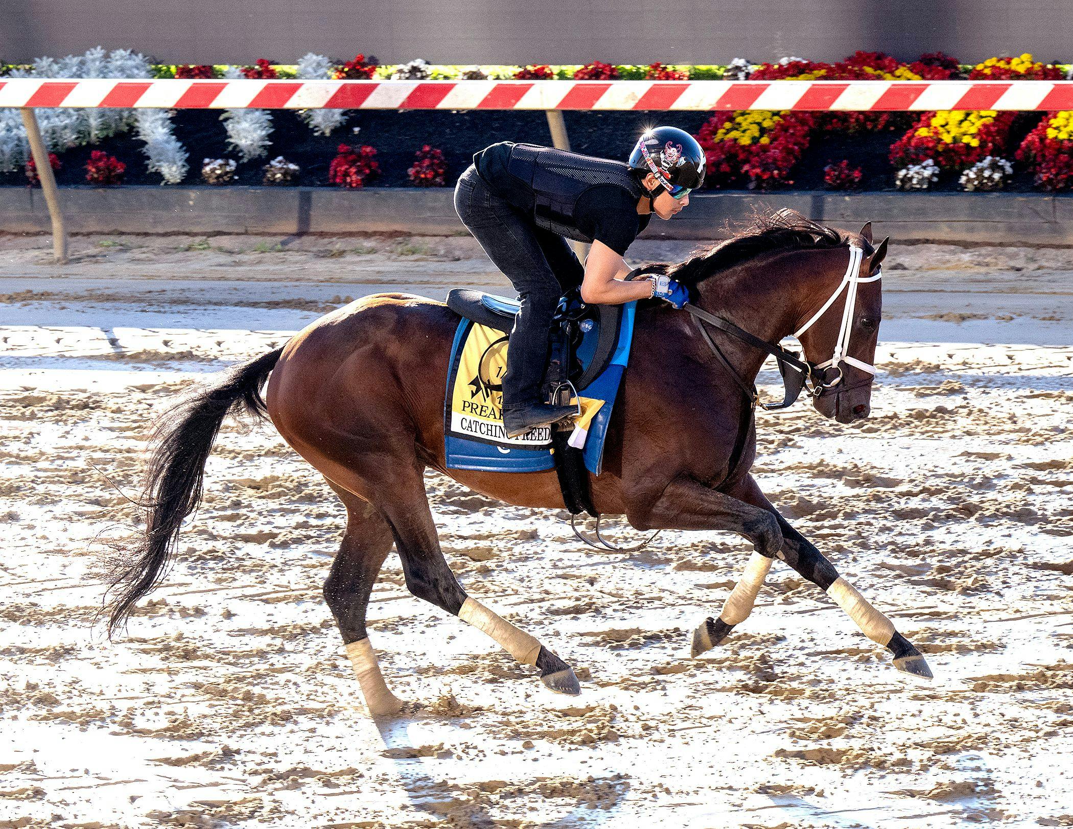 Catching Freedom trains for the Preakness (Photo by Jim McCue/Maryland Jockey Club)