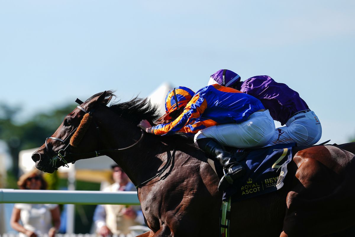 Causeway scored his signature win in the King Edward VII (G2) at Royal Ascot