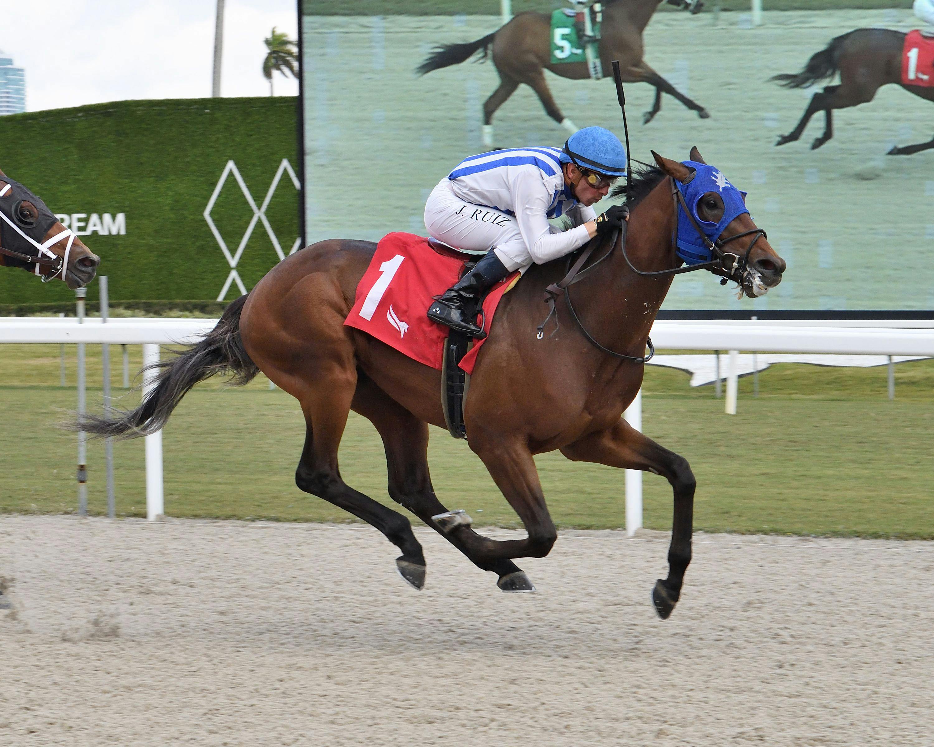 Chaos Agent wins at Gulfstream Park. 