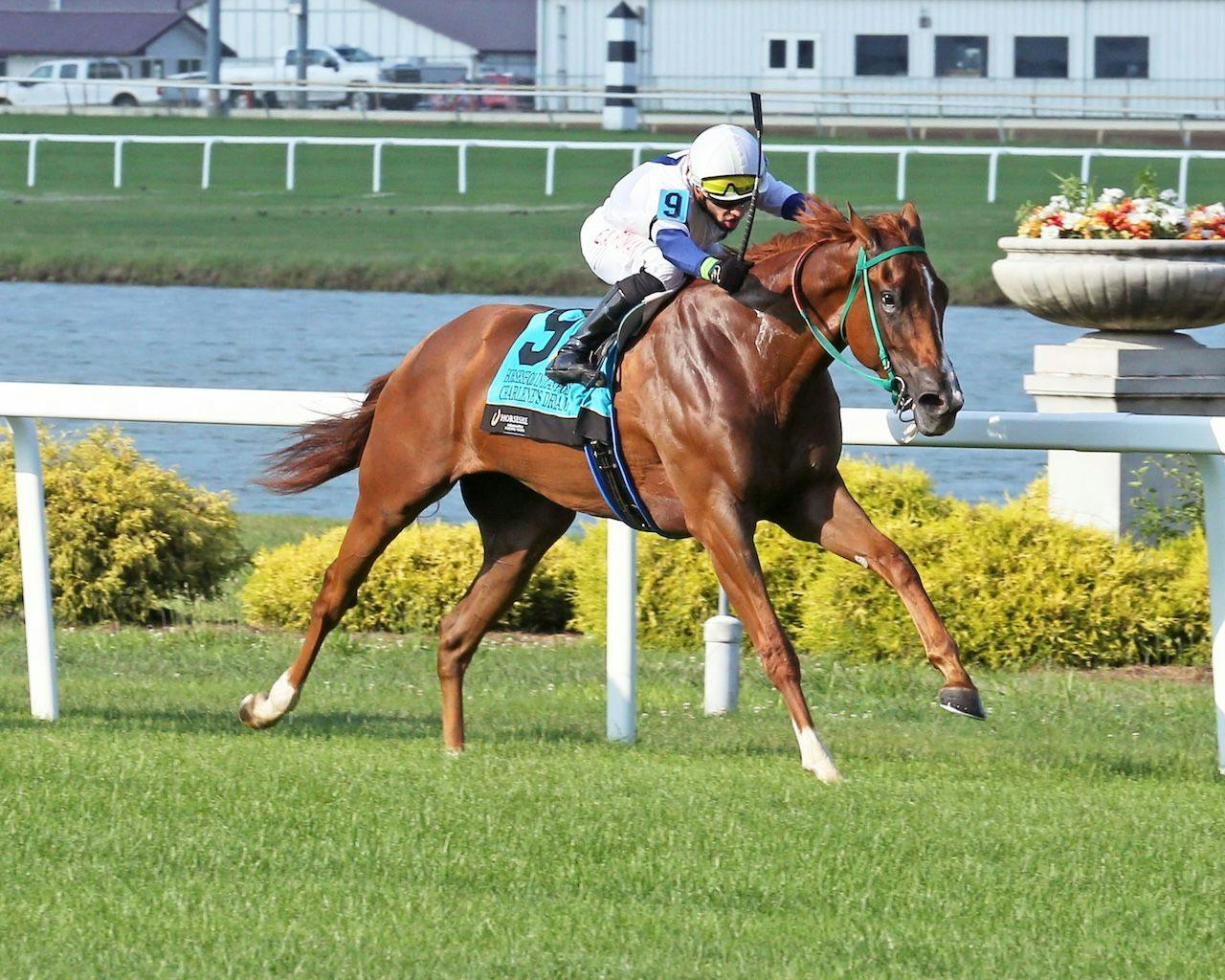Charlene's Dream wins at Horseshoe Indianapolis.