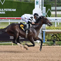 Chief Wallabee wins at Gulfstream Park.