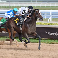 Chief Wallabee wins at Gulfstream Park.