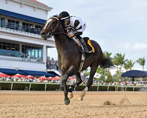 Chief Wallabee wins at Gulfstream Park. 