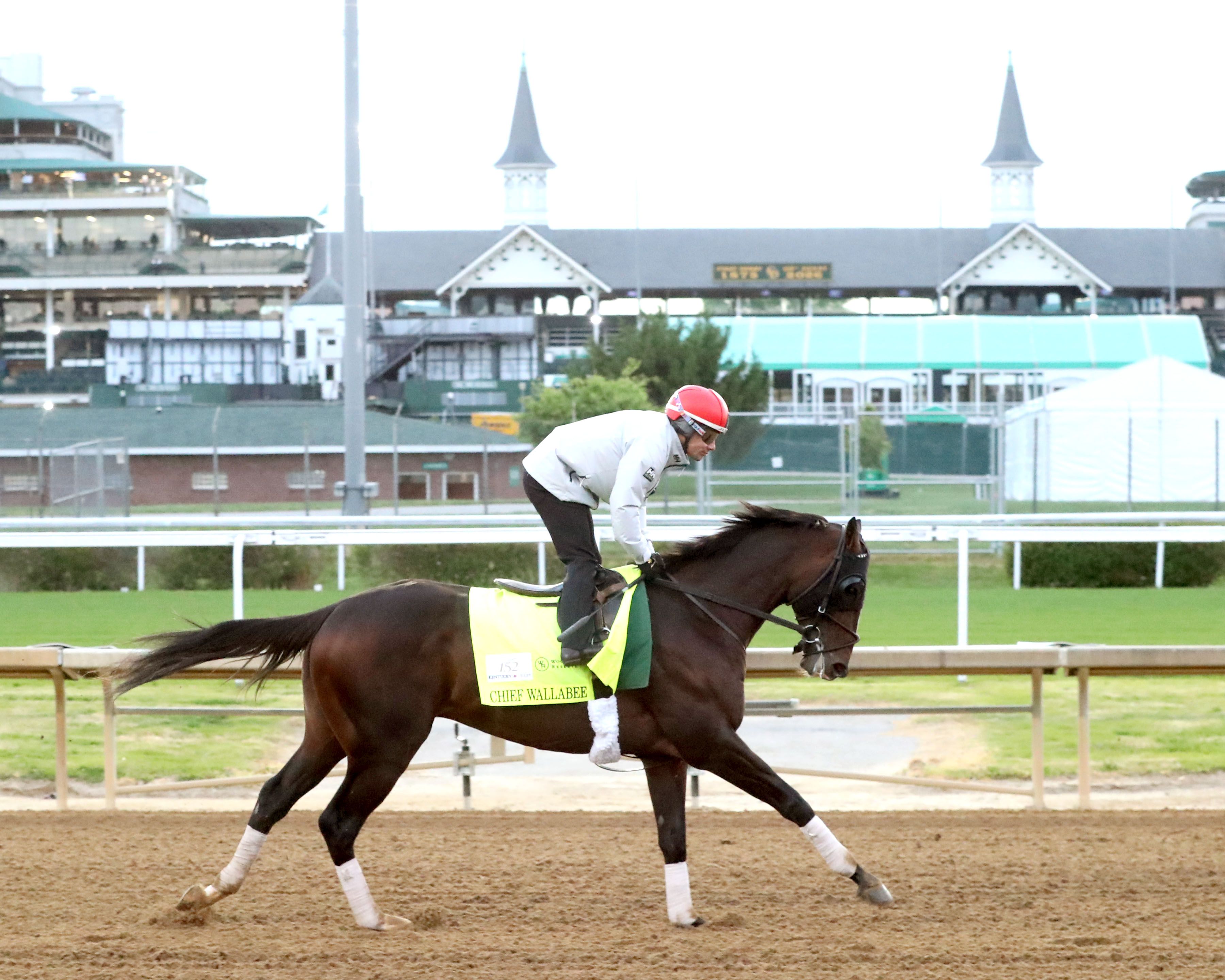 Chief Wallabee training at Churchill Downs