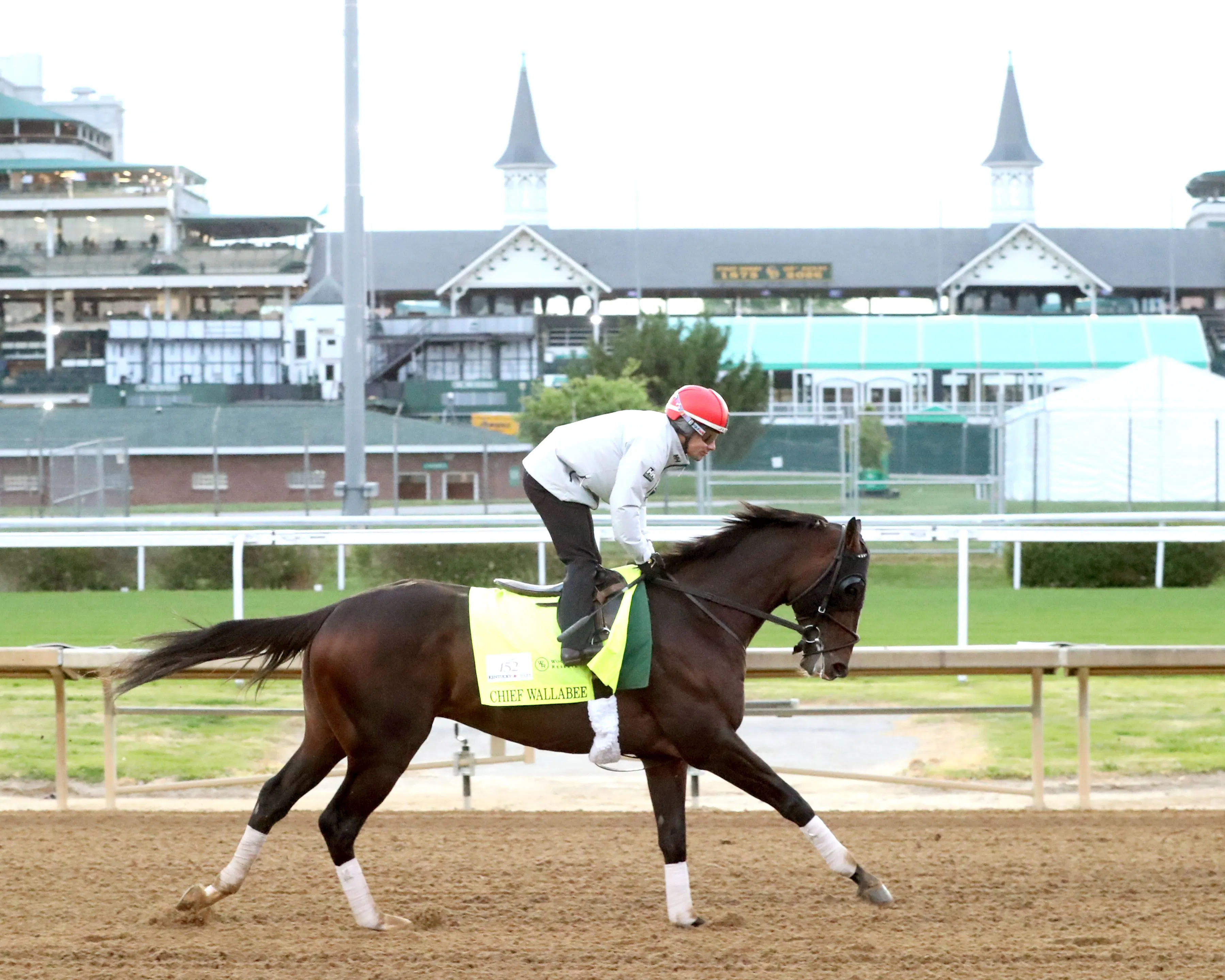 Chief Wallabee training at Churchill Downs