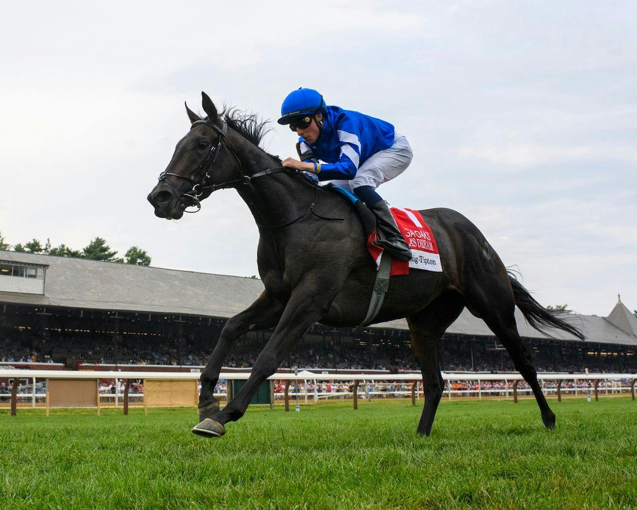 Cinderella's Dream wins the Saratoga Oaks at Saratoga.