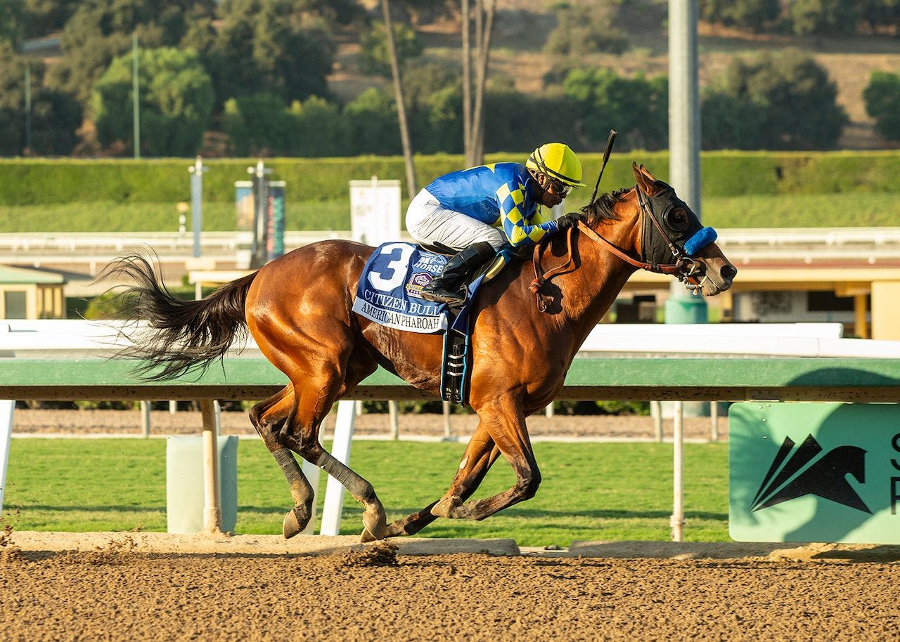 Citizen Bull winning the American Pharoah (G1) at Santa Anita (Photo by Benoit Photo)