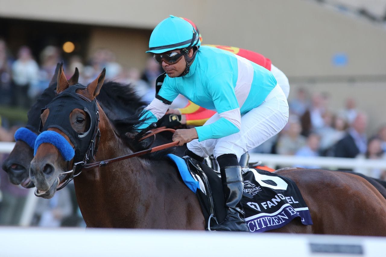 Citizen bull wins the Breeders' Cup Juvenile at Del Mar.