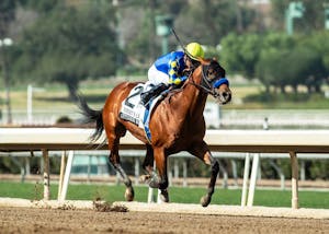 Citizen Bull winning the Robert B. Lewis (G3) at Santa Anita (Photo by Benoit Photo)