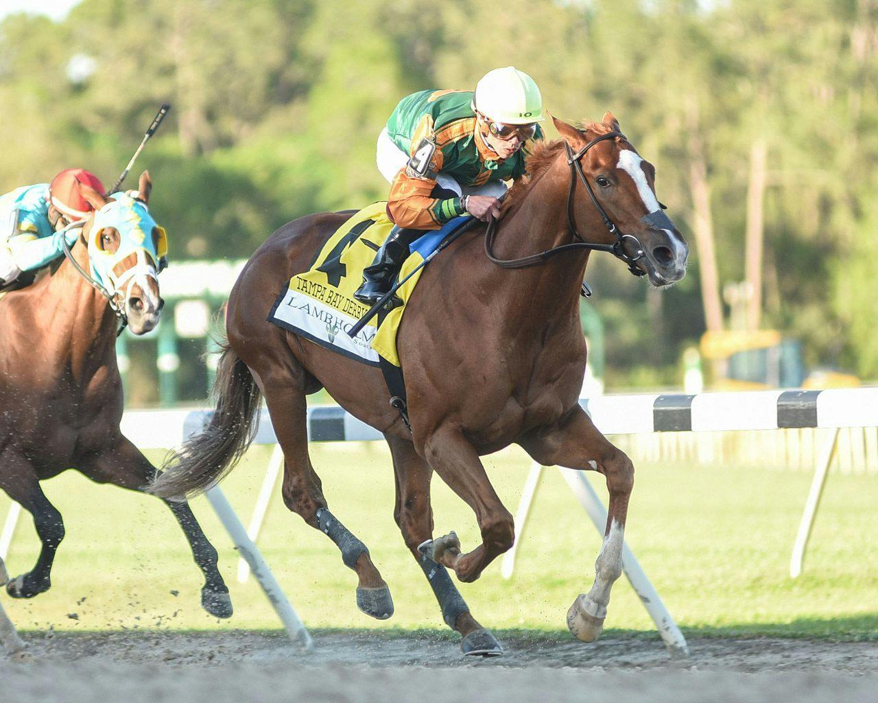 Racing Roundtable Tampa Bay Derby and Azeri Stakes TwinSpires