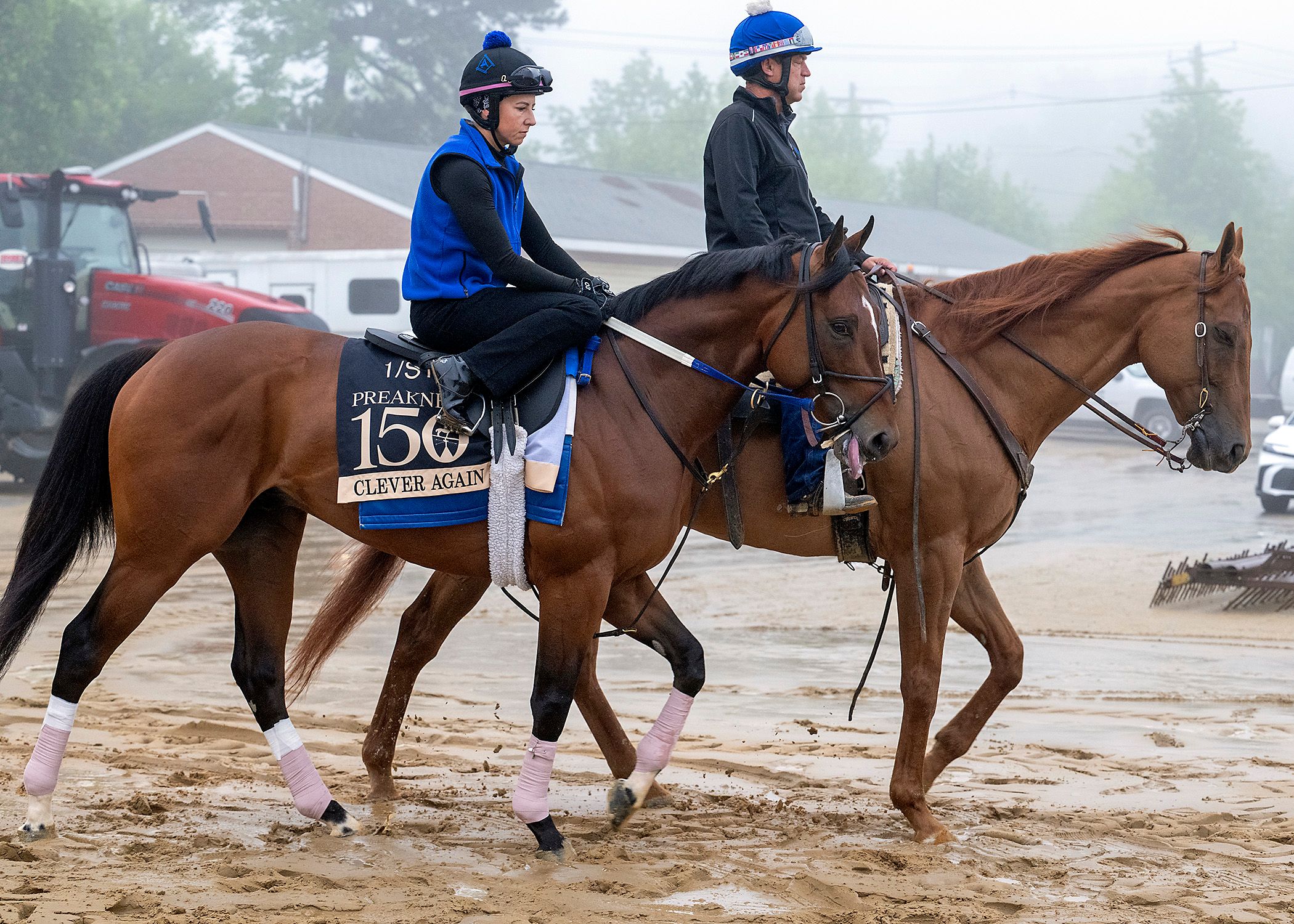 Clever Again trains at Pimlico for the Preakness S. 2025 (Photo by MJC/Jerry Dzierwinski)