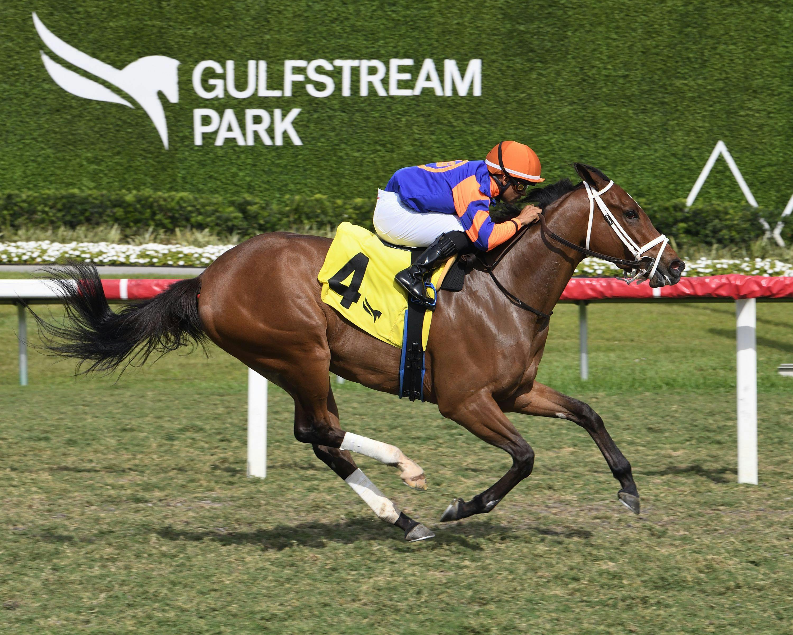 Cloe (Photo by Coglianese Photos/Lauren King)