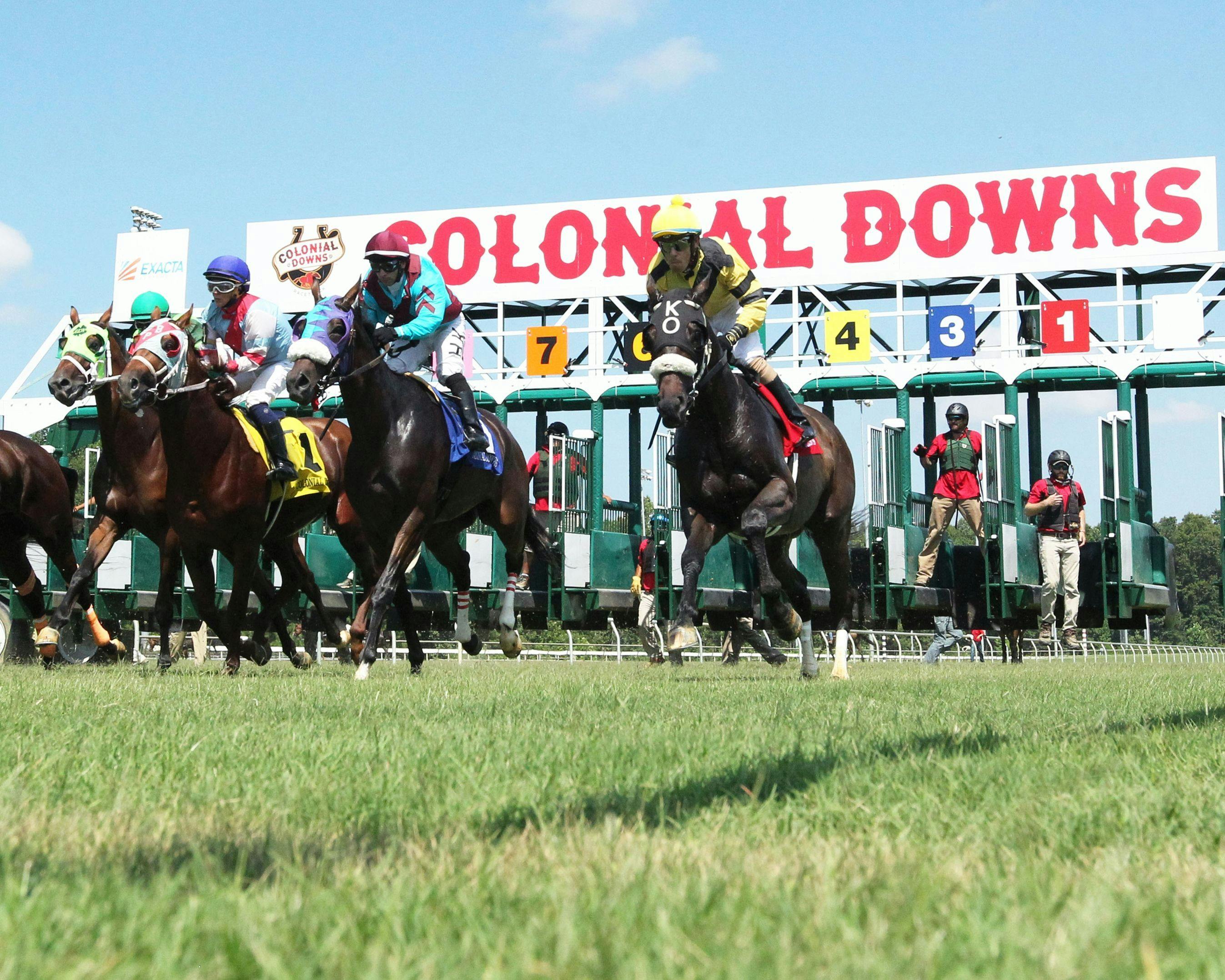 Colonial Downs scenic (Photo by Coady Photography/Colonial Downs)