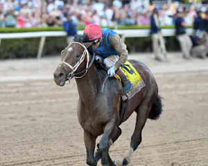 Commandment wins the Florida Derby at Gulfstream Park. 