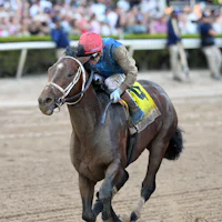 Commandment wins the Florida Derby at Gulfstream Park.