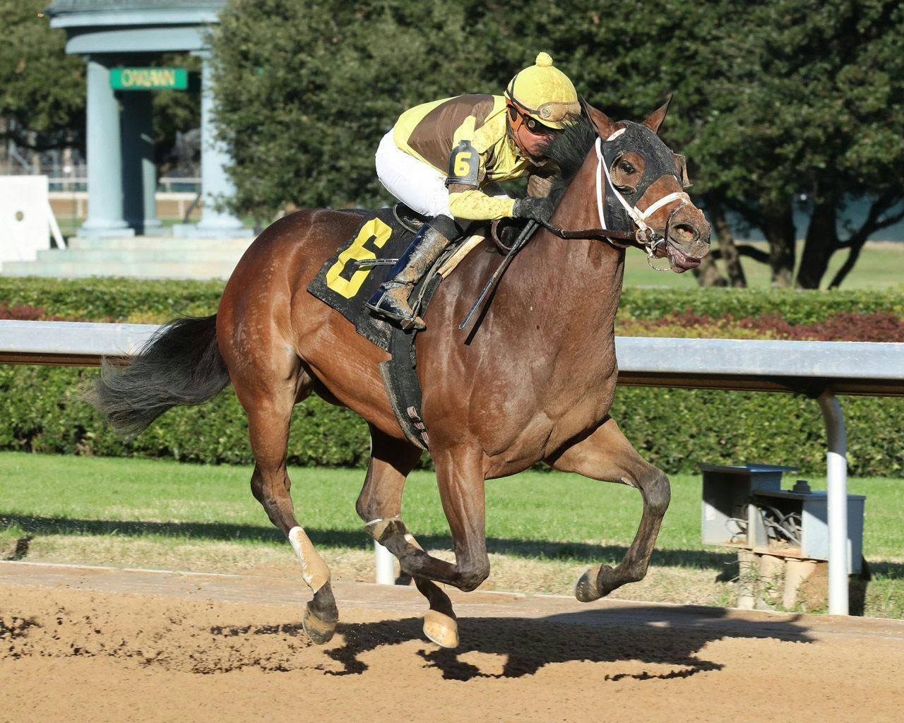 Como Square is the value play in the Martha Washington Stake TwinSpires