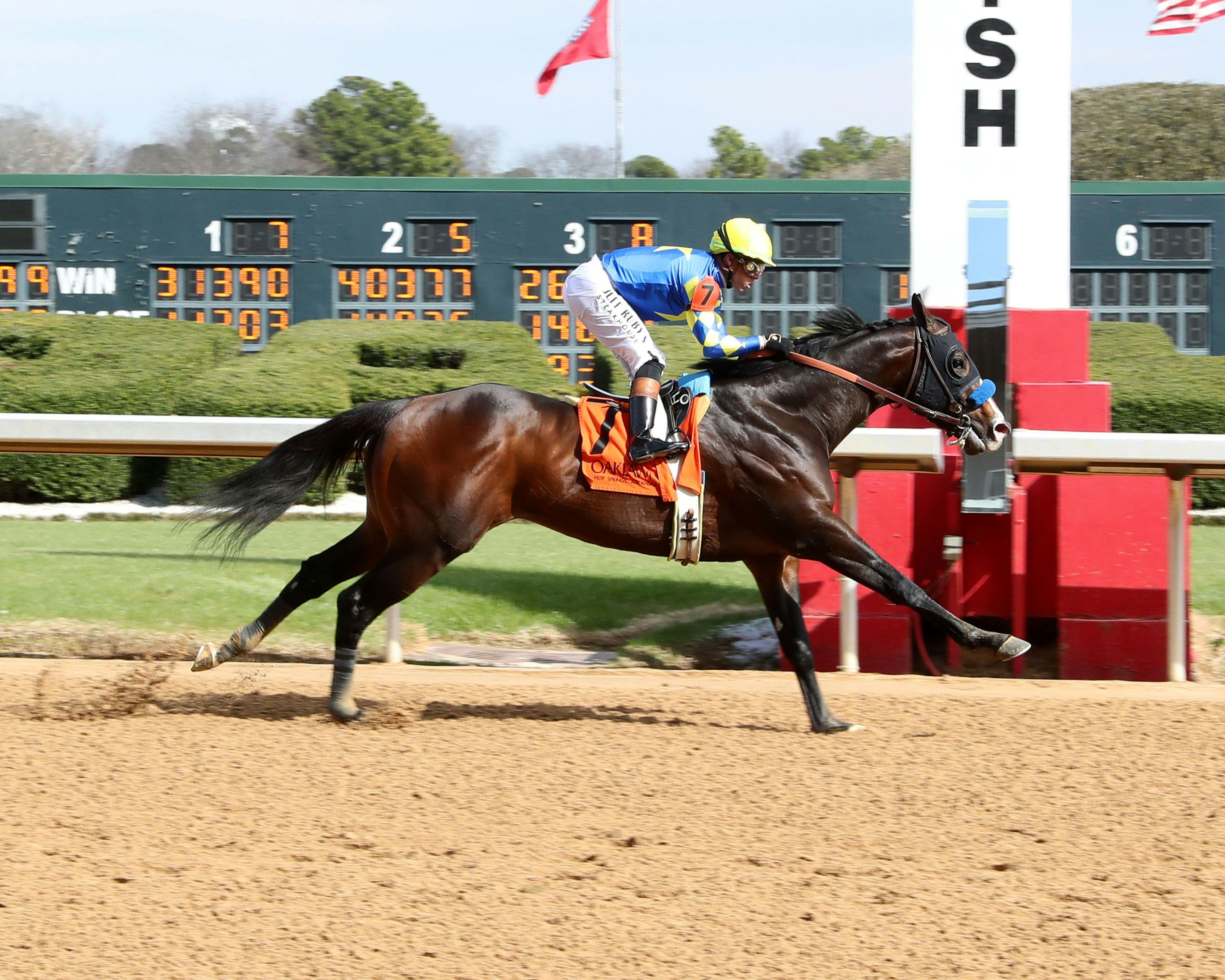 Cornucopian winning his debut at Oaklawn Park (Photo by Coady Media)