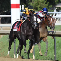 Counting Stars wins the Coaching Club American Oaks at Saratoga.