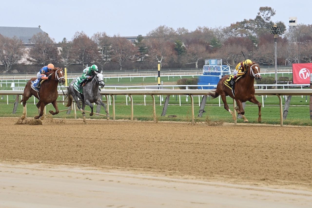 #6 Courting wins with #3 Grittiness second and #5 Stream It third at Aqueduct.